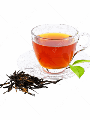 Té Negro